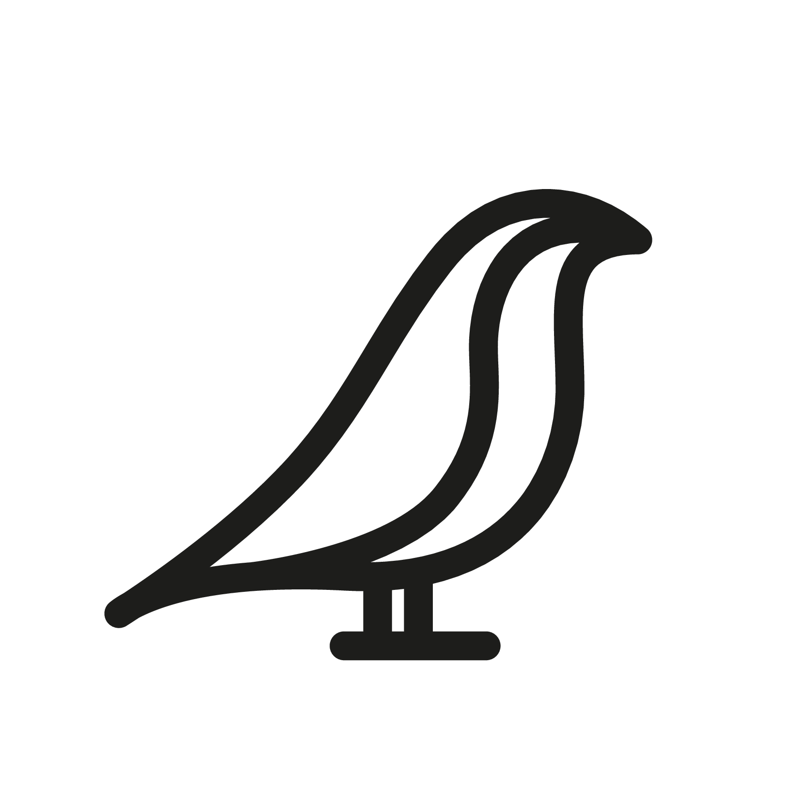 Little birdie