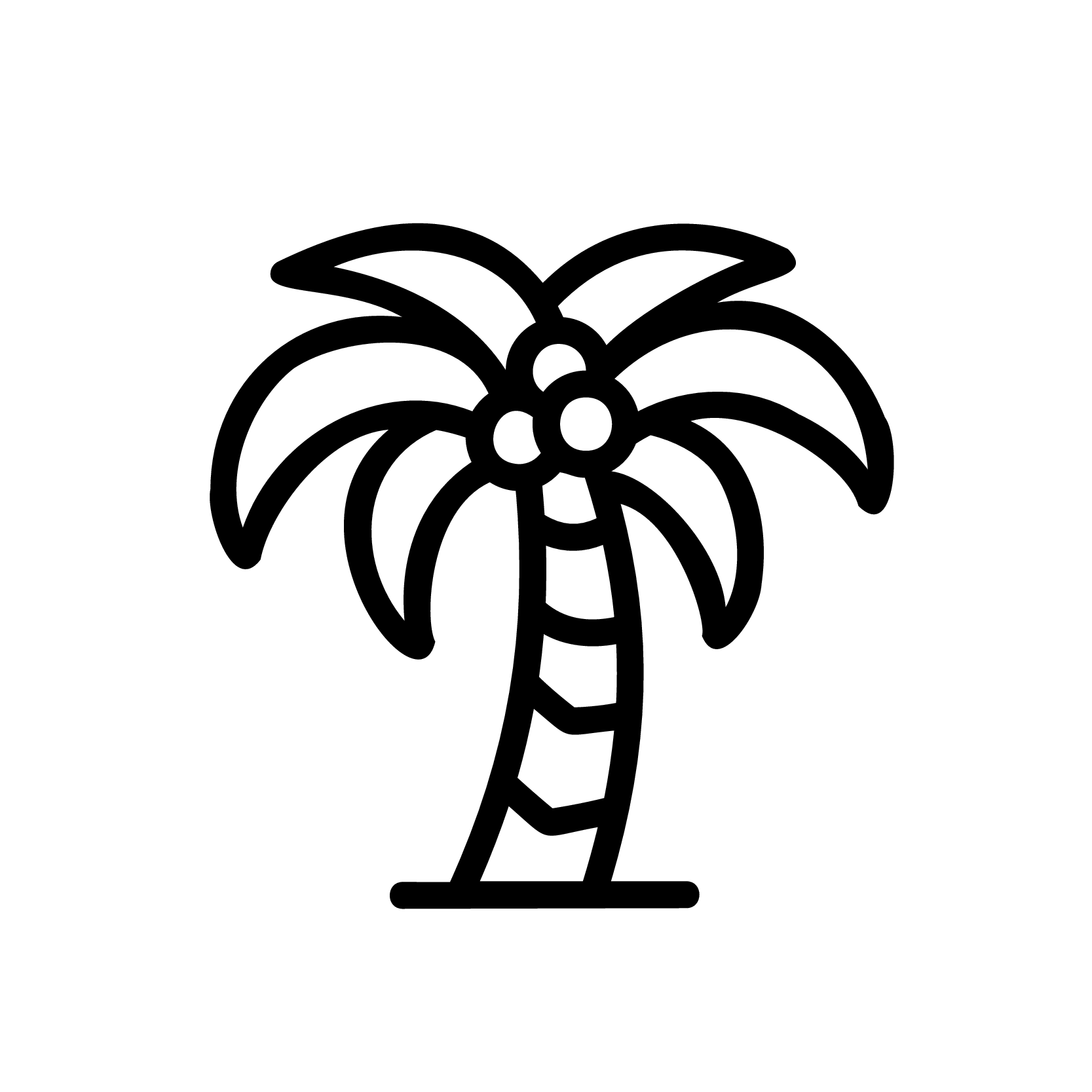 Palmboom