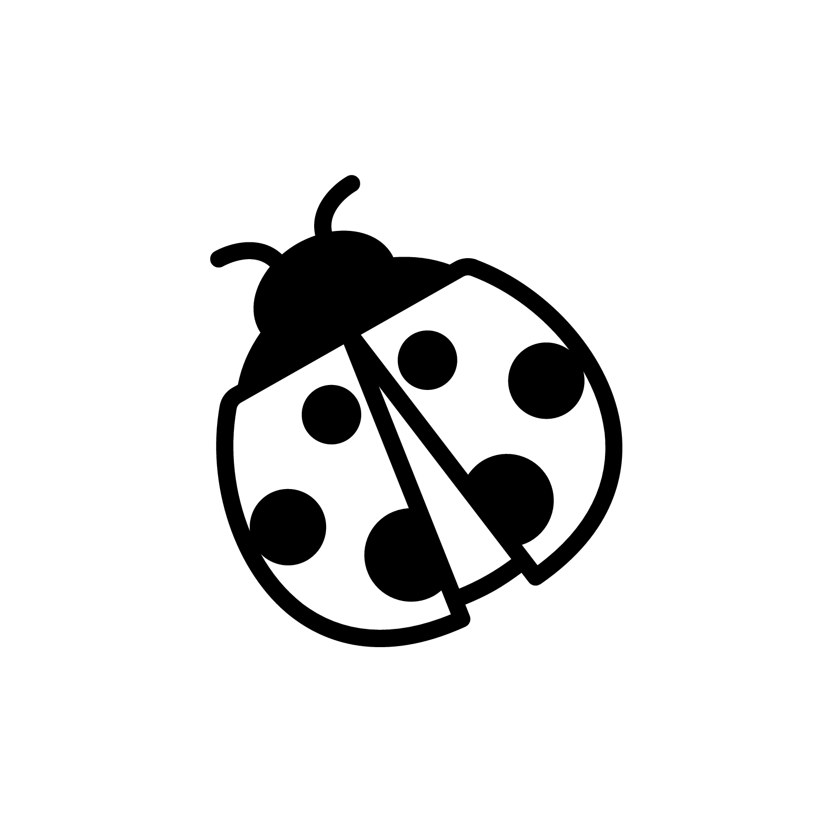 Ladybug