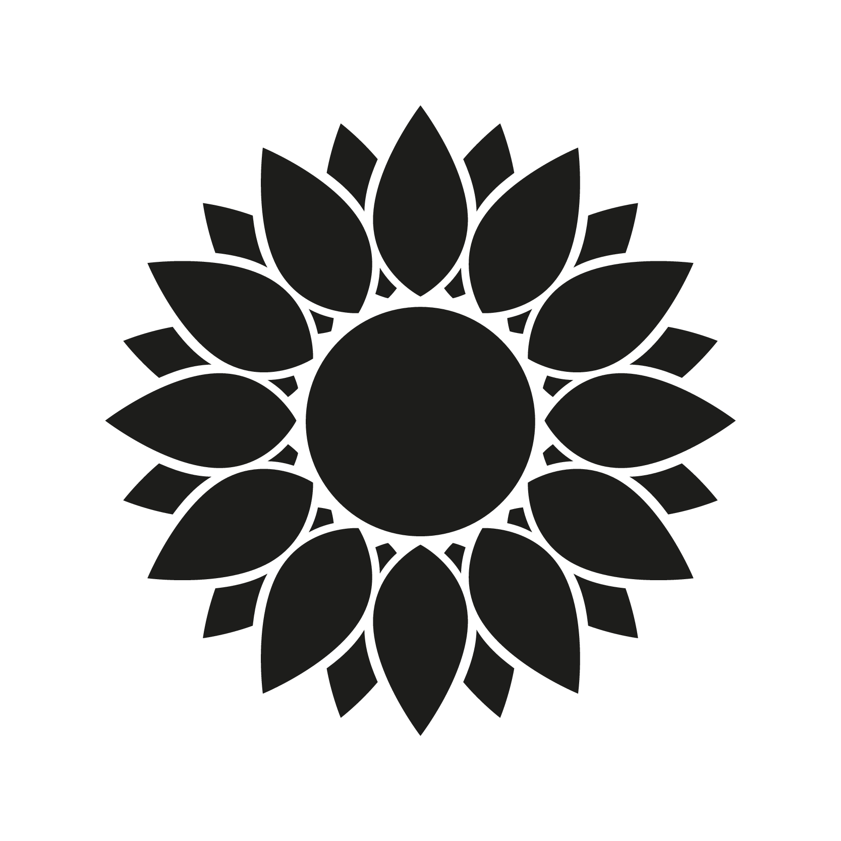 Sunny flower
